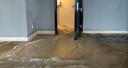 Что делать, если затопило квартиру и почему нужно обратиться к юристу