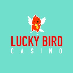 Что нужно знать о казино Lucky Bird Casino: его преимущества