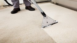 Особливості хімчистки килимів: яких правил необхідно дотримуватись